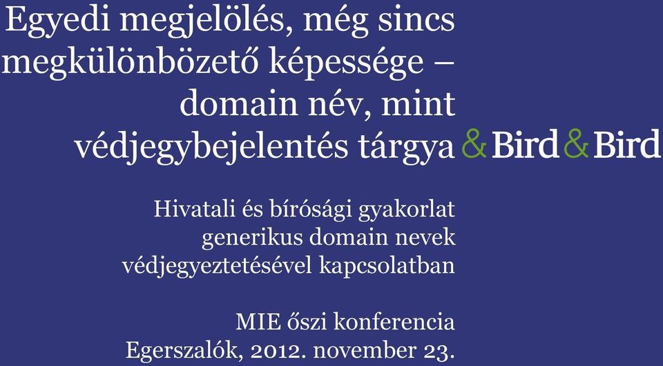 bírósági gyakorlat generikus domain nevek