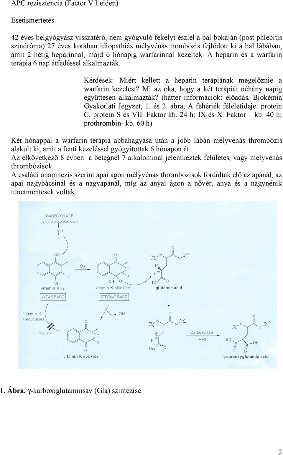 Kérdések: Miért kellett a heparin terápiának megelőznie a warfarin kezelést? Mi az oka, hogy a két terápiát néhány napig együttesen alkalmazták?