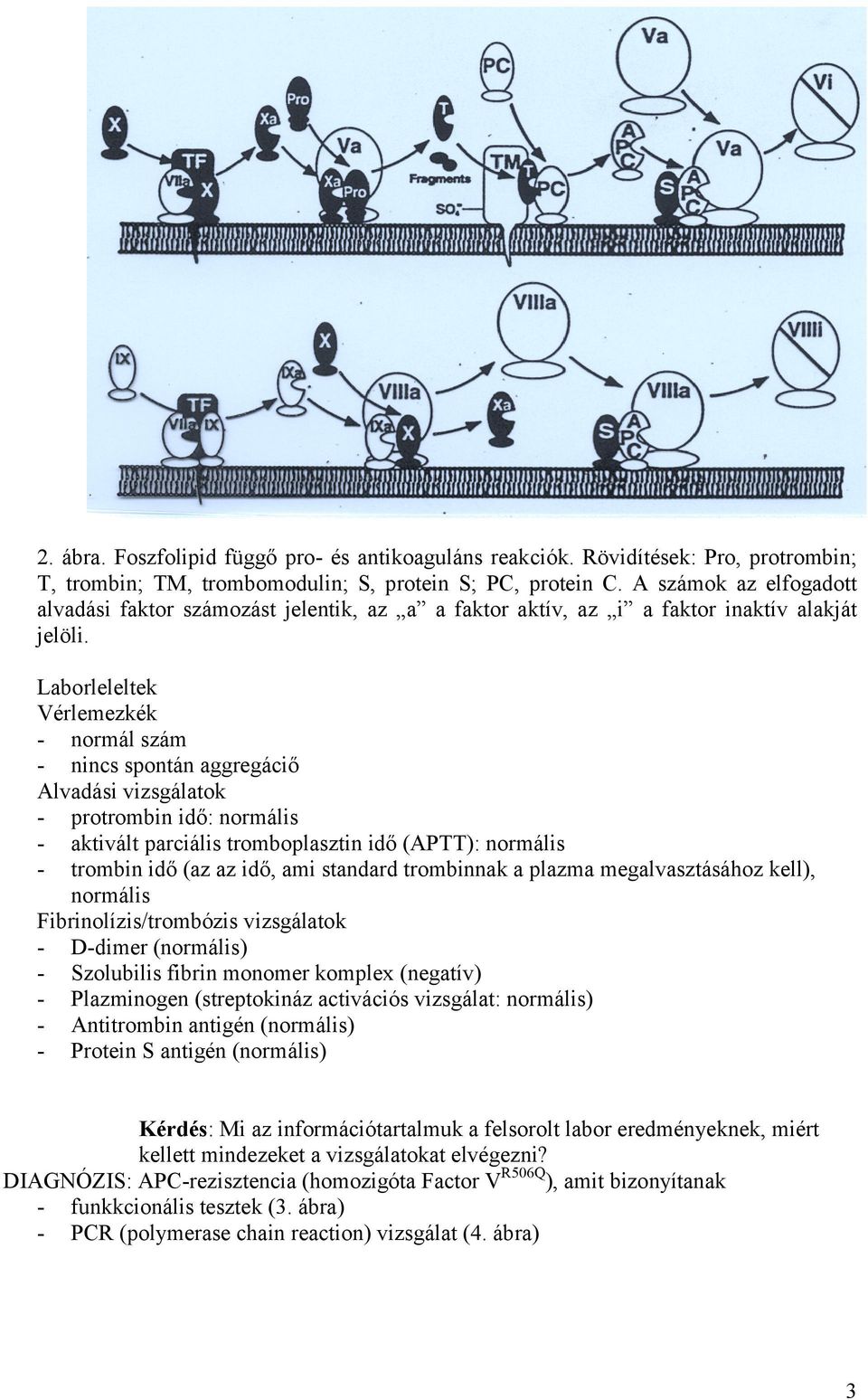 Laborleleltek Vérlemezkék - normál szám - nincs spontán aggregáciő Alvadási vizsgálatok - protrombin idő: normális - aktivált parciális tromboplasztin idő (APTT): normális - trombin idő (az az idő,