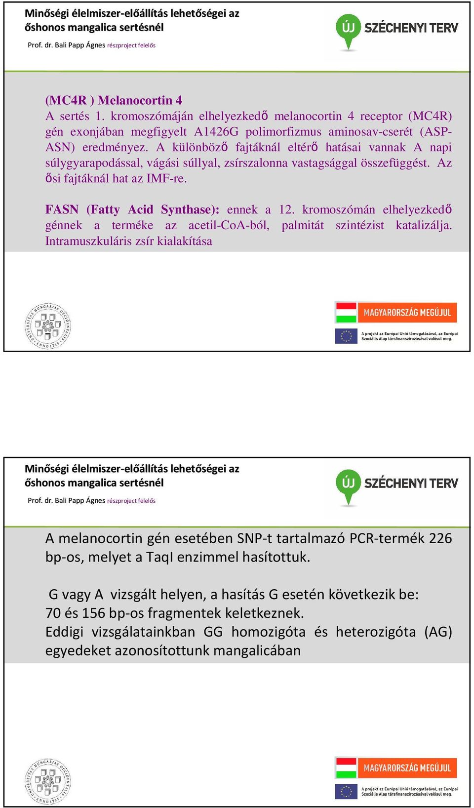 kromoszómán elhelyezkedő génnek a terméke az acetil-coa-ból, palmitát szintézist katalizálja.