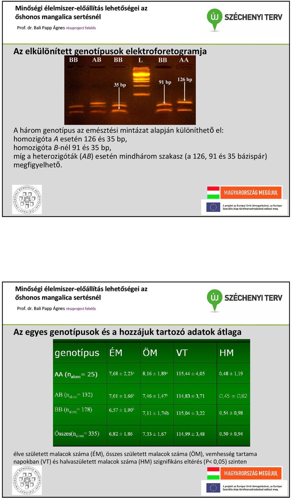 bázispár) megfigyelhető.