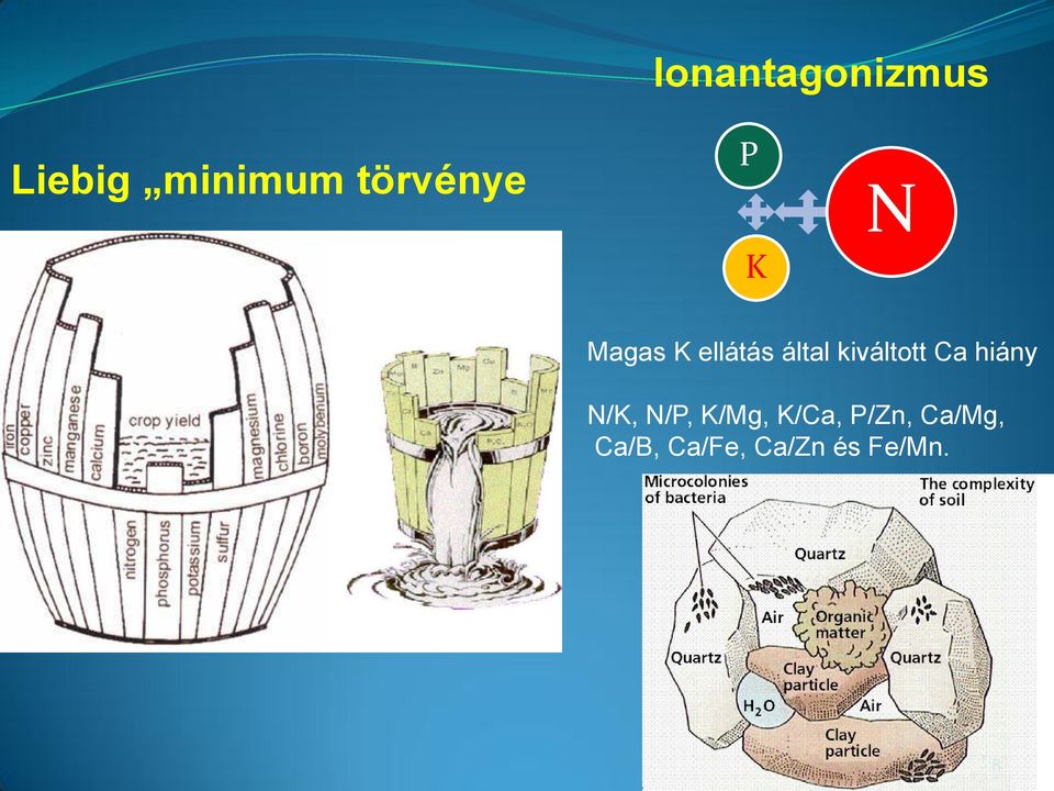 kiváltott Ca hiány N/K, N/P, K/Mg,