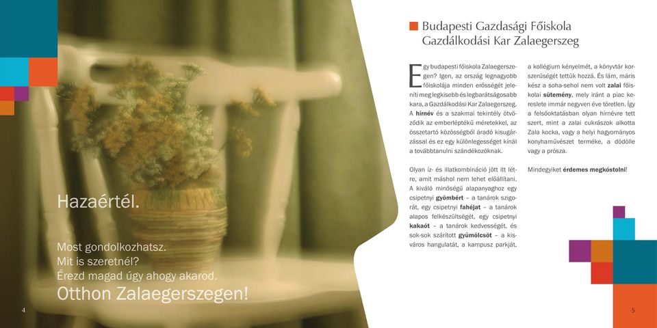 A hírnév és a szakmai tekintély ötvöződik az emberléptékű méretekkel, az összetartó közösségből áradó kisugárzással és ez egy különlegességet kínál a továbbtanulni szándékozóknak.