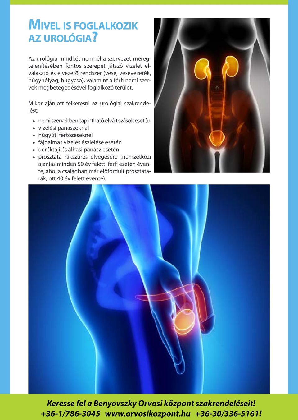 húgycső), valamint a férfi nemi szervek megbetegedésével foglalkozó terület.