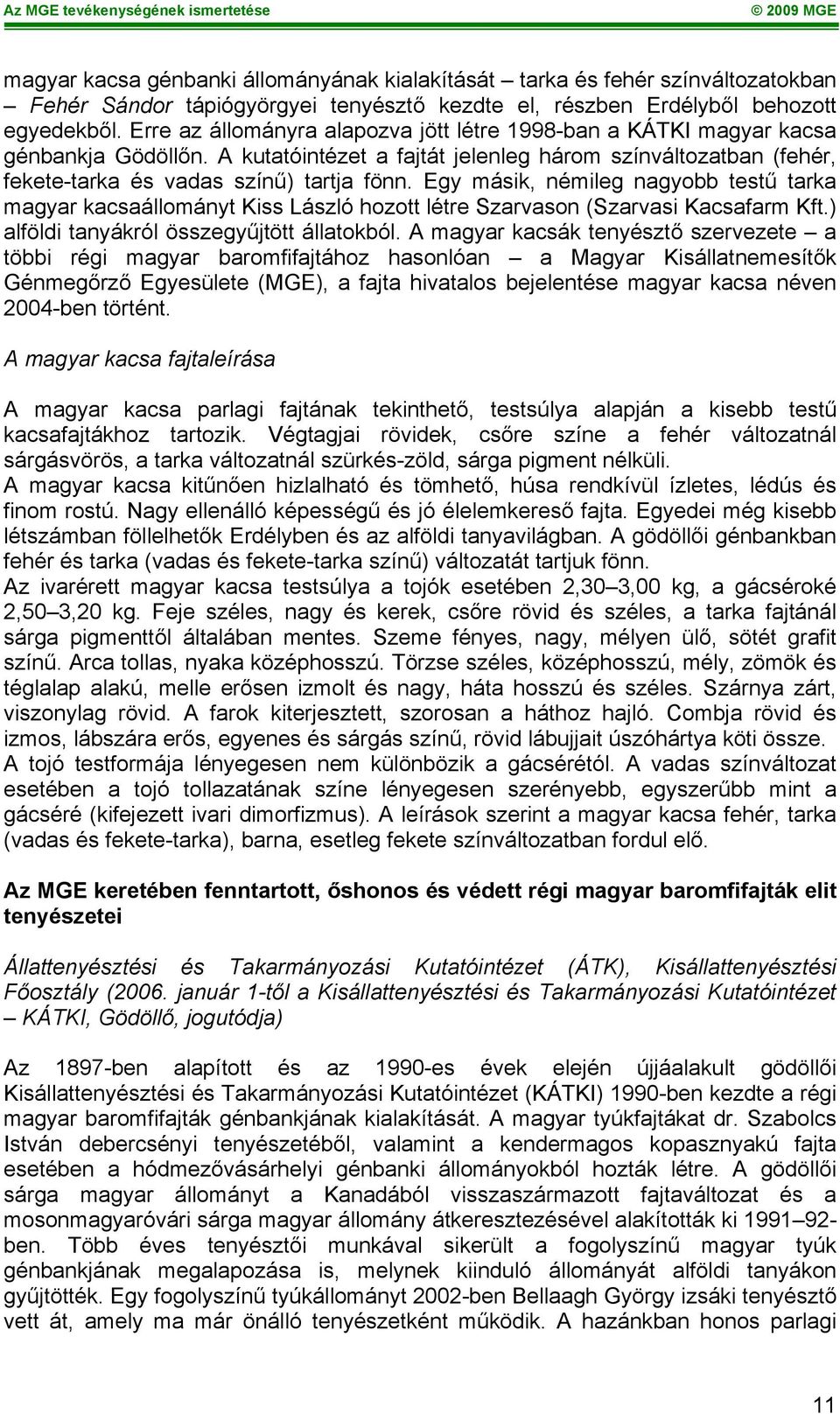 Egy másik, némileg nagyobb testű tarka magyar kacsaállományt Kiss László hozott létre Szarvason (Szarvasi Kacsafarm Kft.) alföldi tanyákról összegyűjtött állatokból.