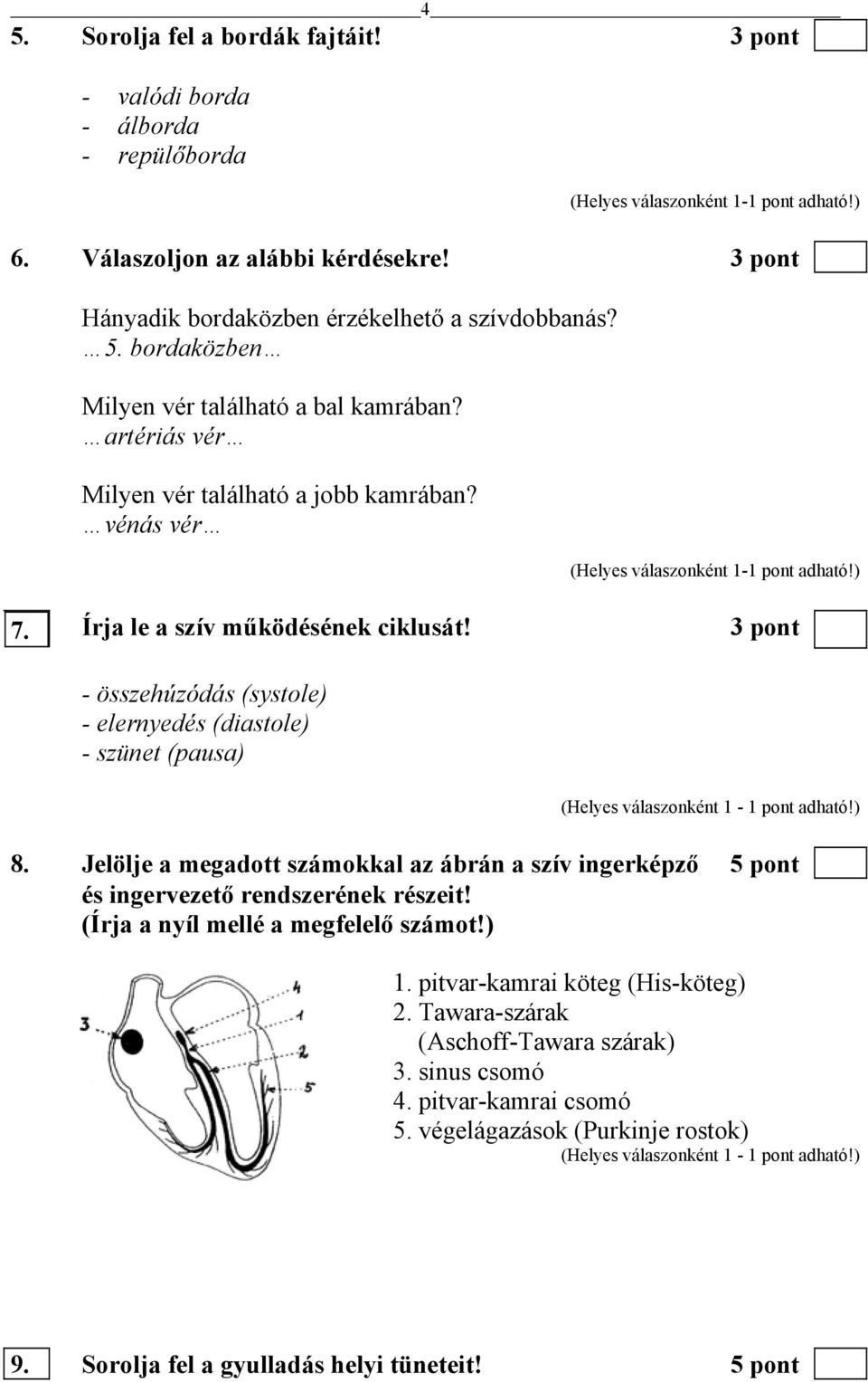 Jelölje a megadott számokkal az ábrán a szív ingerképző 5 pont és ingervezető rendszerének részeit! (Írja a nyíl mellé a megfelelő számot!) 1. pitvar-kamrai köteg (His-köteg) 2.