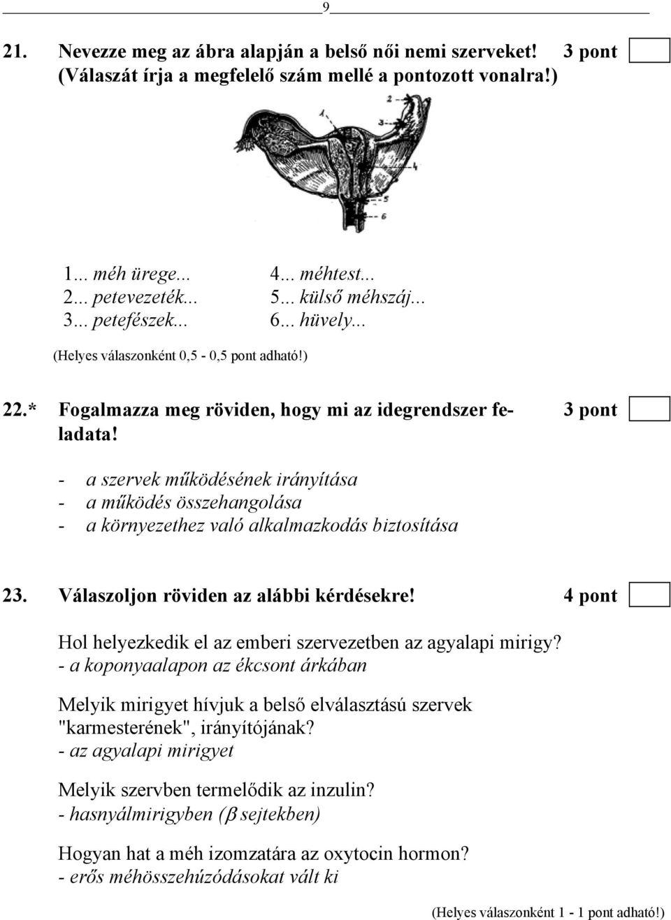 - a szervek működésének irányítása - a működés összehangolása - a környezethez való alkalmazkodás biztosítása 23. Válaszoljon röviden az alábbi kérdésekre!