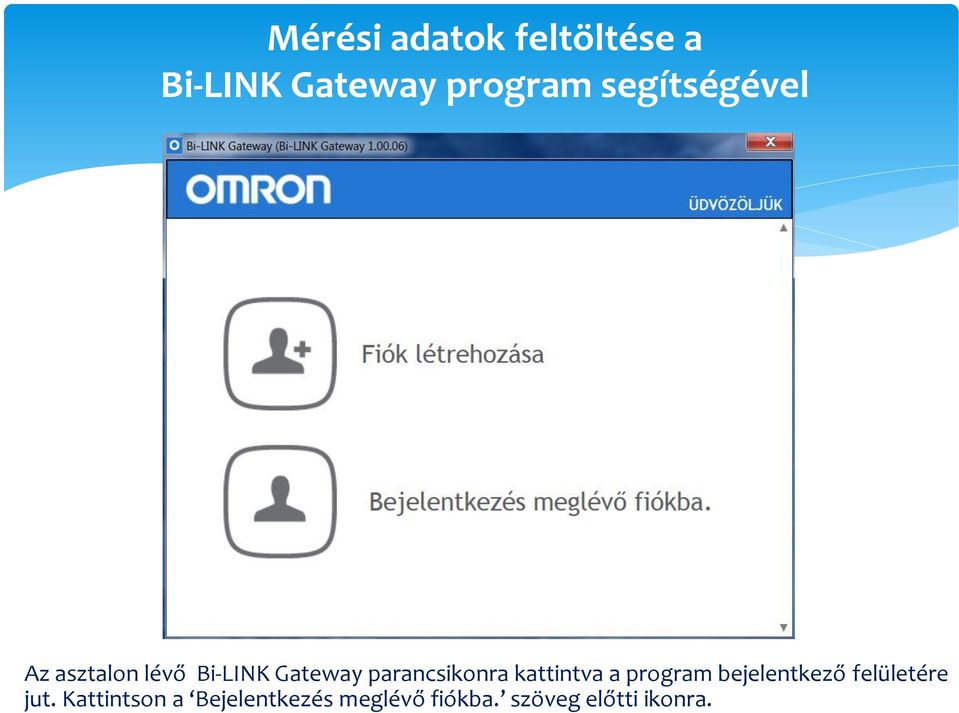 parancsikonra kattintva a program bejelentkező