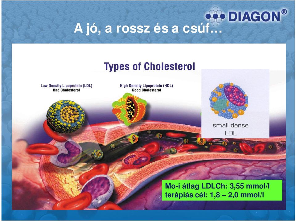 LDLCh: 3,55 mmol/l