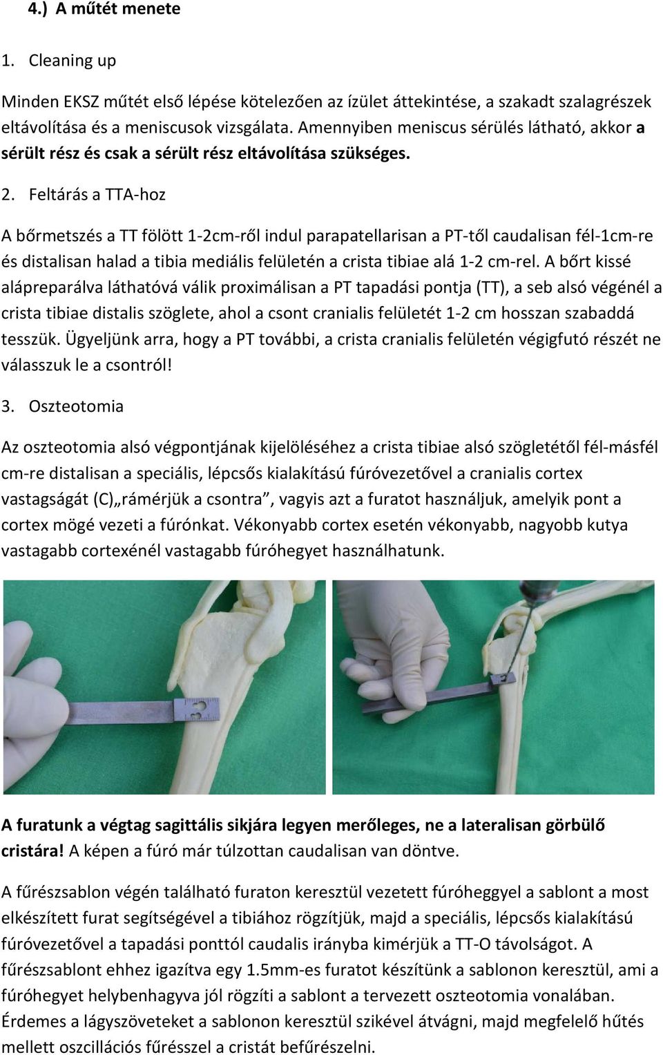 Feltárás a TTA-hoz A bőrmetszés a TT fölött 1-2cm-ről indul parapatellarisan a PT-től caudalisan fél-1cm-re és distalisan halad a tibia mediális felületén a crista tibiae alá 1-2 cm-rel.