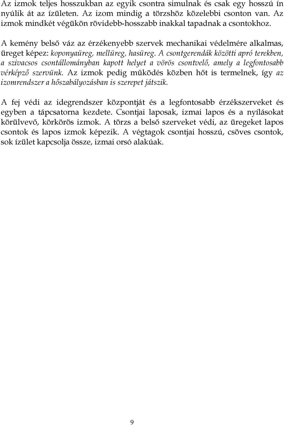 A csontgerendák közötti apró terekben, a szivacsos csontállományban kapott helyet a vörös csontvelő, amely a legfontosabb vérképző szervünk.