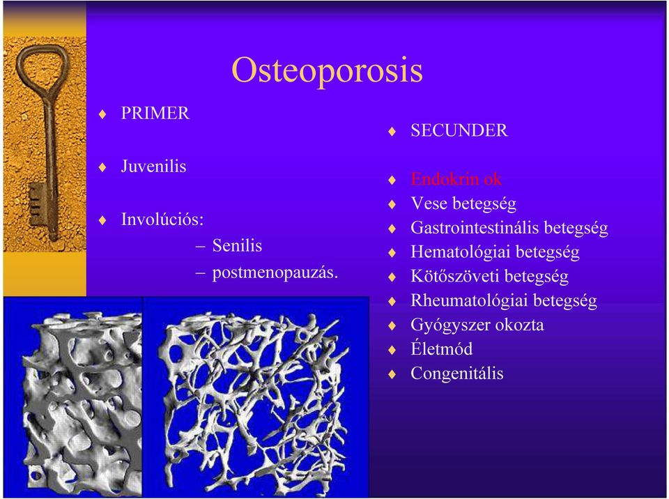 SECUNDER Endokrin ok Vese betegség Gastrointestinális