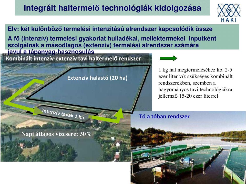 Kombinált intenzív-extenz extenzív v tavi haltermelő rendszer Extenzív halastó(20 ha) 1 kg hal megtermeléséhez kb.