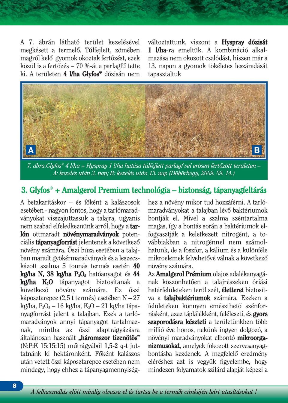 napon a gyomok tökéletes leszáradását tapasztaltuk A B 7. ábra.glyfos 4 l/ha + Hyspray 1 l/ha hatása túlfejlett parlagf vel erôsen fertôzött területen A: kezelés után 3. nap; B: kezelés után 13.