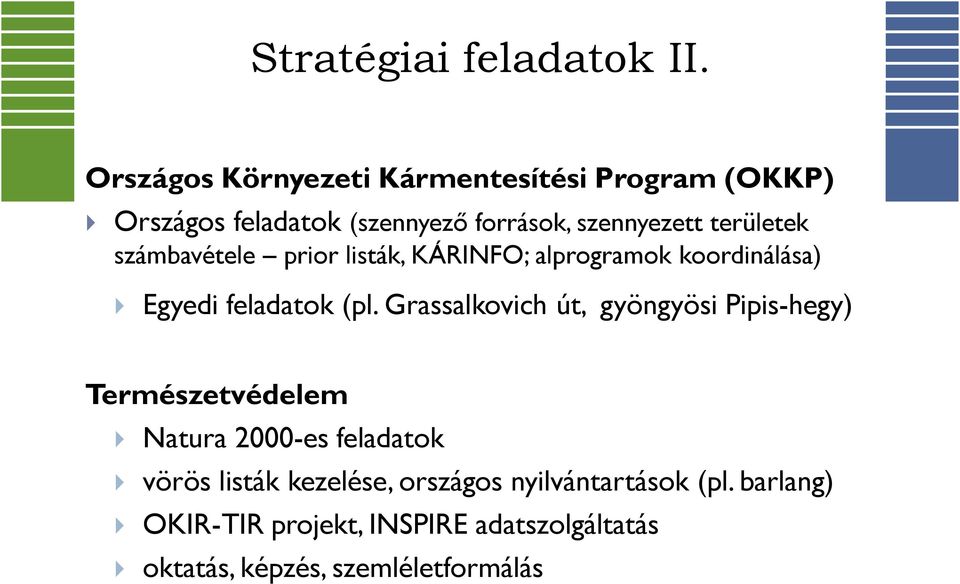 területek számbavétele prior listák, KÁRINFO; alprogramok koordinálása) Egyedi feladatok (pl.