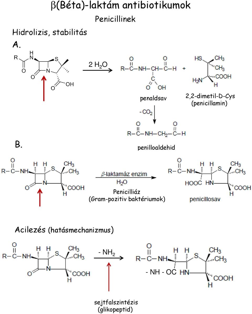 2 H 2 O penaldsav 2,2-dimetil-D-Cys (penicillamin) B.