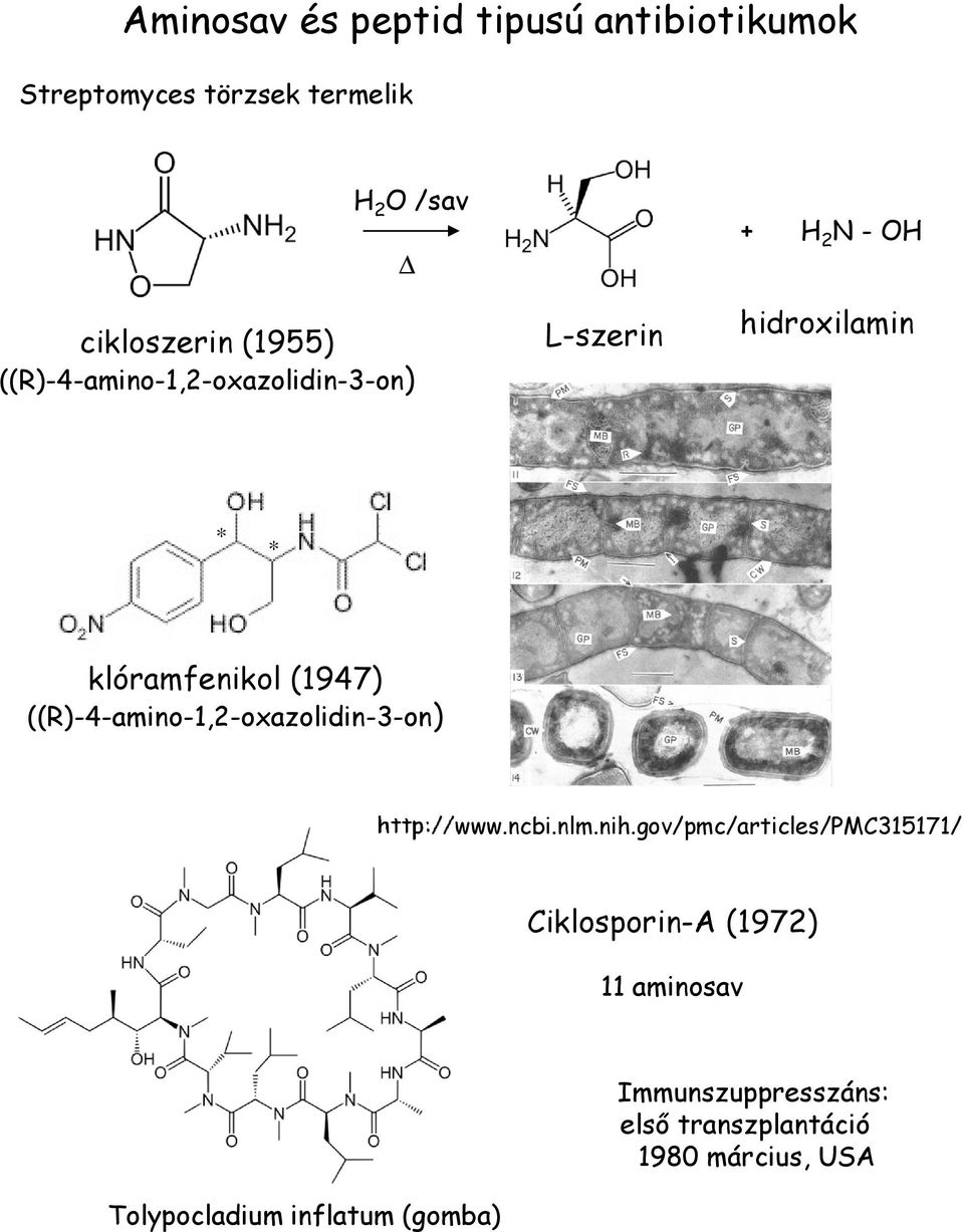 ((R)-4-amino-1,2-oxazolidin-3-on) http://www.ncbi.nlm.nih.