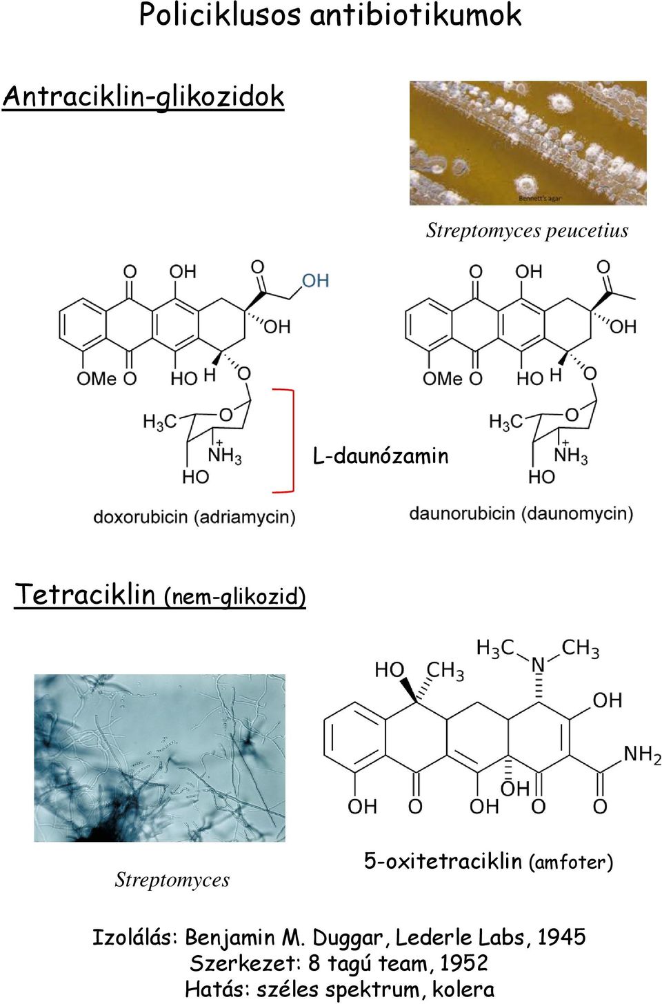 5-oxitetraciklin (amfoter) Izolálás: Benjamin M.