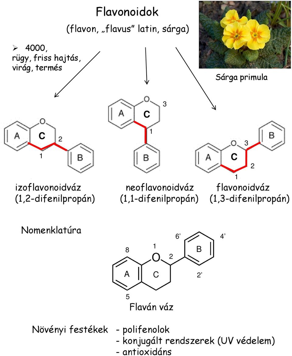 (1,2-difenilpropán) (1,1-difenilpropán) (1,3-difenilpropán) C 1 3 2 Nomenklatúra 8 1 2