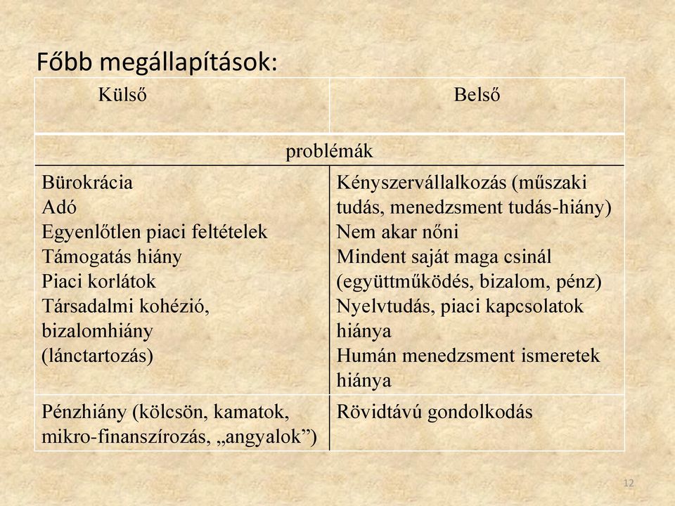 problémák Kényszervállalkozás (műszaki tudás, menedzsment tudás-hiány) Nem akar nőni Mindent saját maga csinál