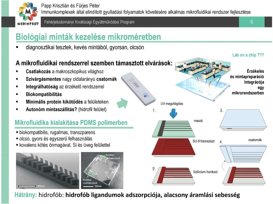 (hidrofil felület) Mikrofluidika kialakítása PDMS polimerben biokompatibilis, rugalmas, transzparens olcsó, gyors és egyszerű felhasználás kovalens kötés önmagával, Si és üveg felülettel UV