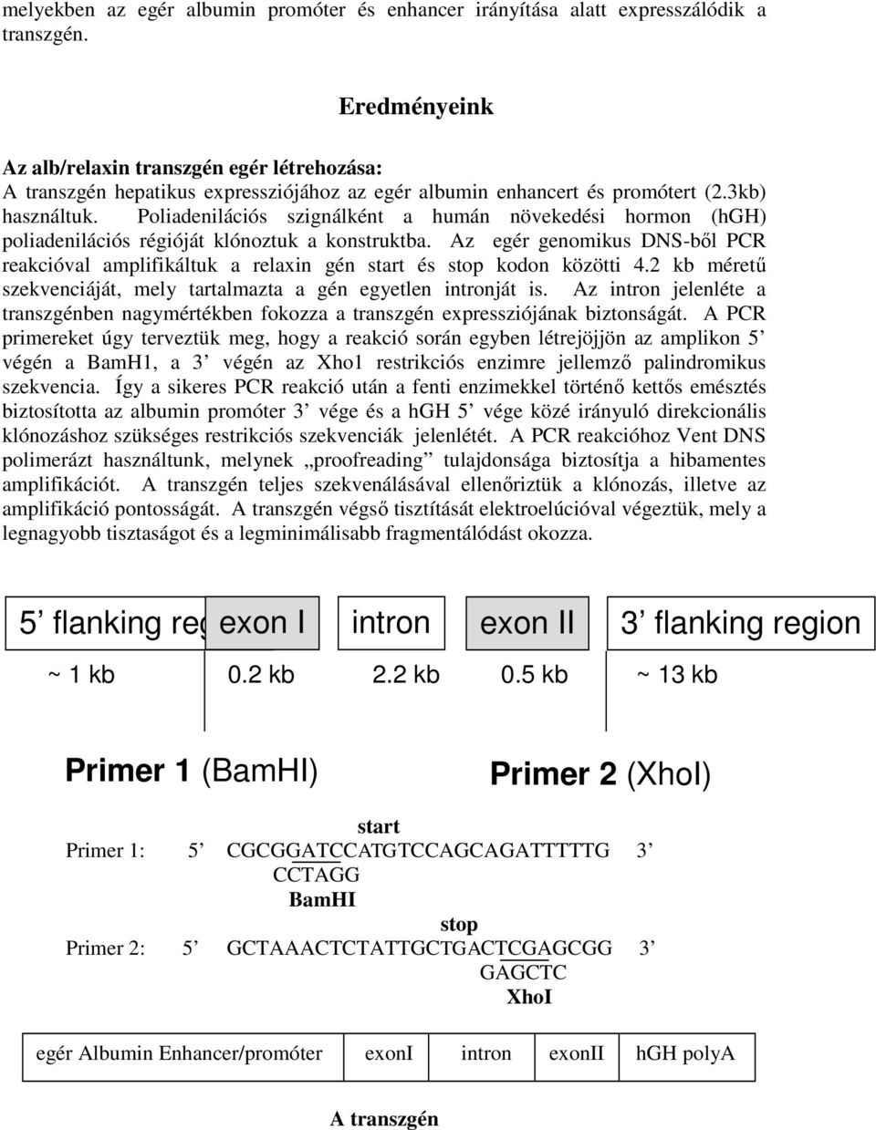 Poliadenilációs szignálként a humán növekedési hormon (hgh) poliadenilációs régióját klónoztuk a konstruktba.