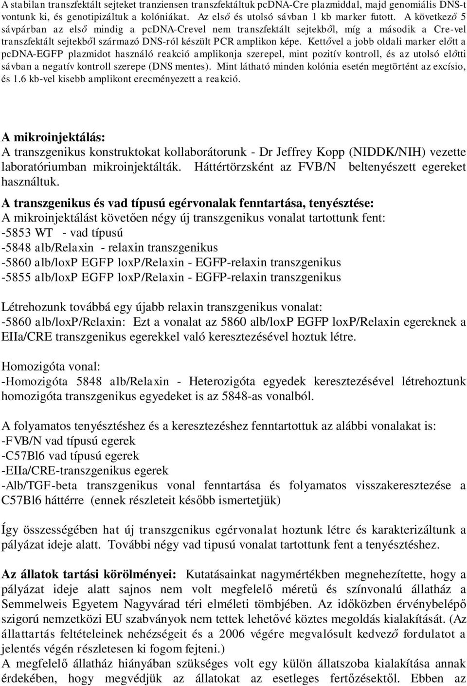 Kettővel a jobb oldali marker előtt a pcdna-egfp plazmidot használó reakció amplikonja szerepel, mint pozitív kontroll, és az utolsó előtti sávban a negatív kontroll szerepe (DNS mentes).