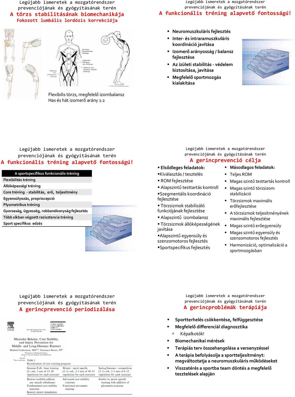 kialakítása Flexibilis törzs, megfelelő izombalansz Has és hát izomerő arány 1:2 A funkcionális tréning alapvető fontosságú!