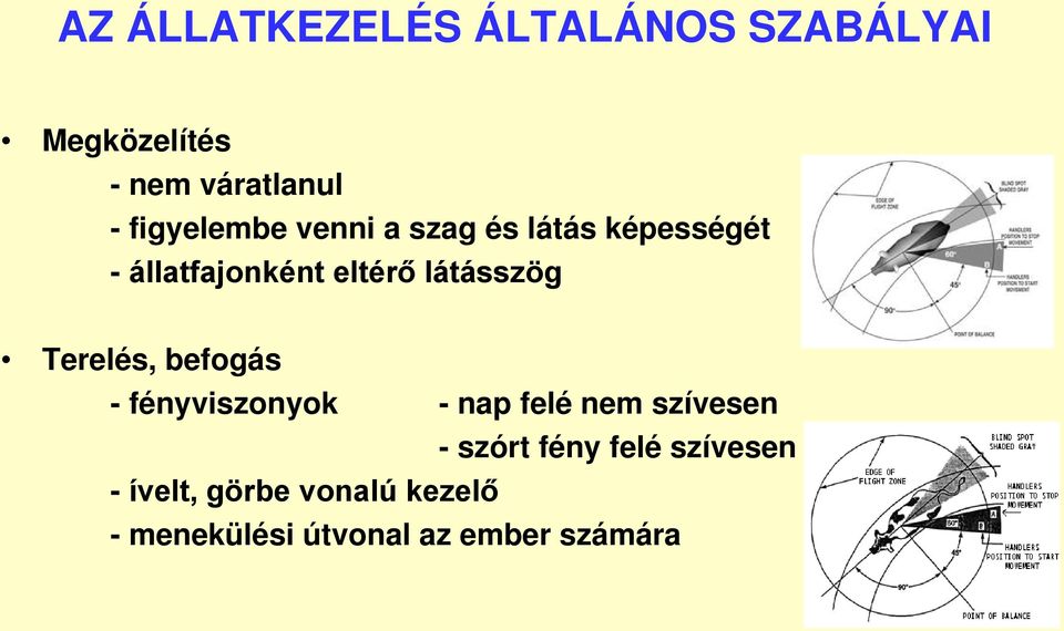 látásszög Terelés, befogás - fényviszonyok - nap felé nem szívesen -