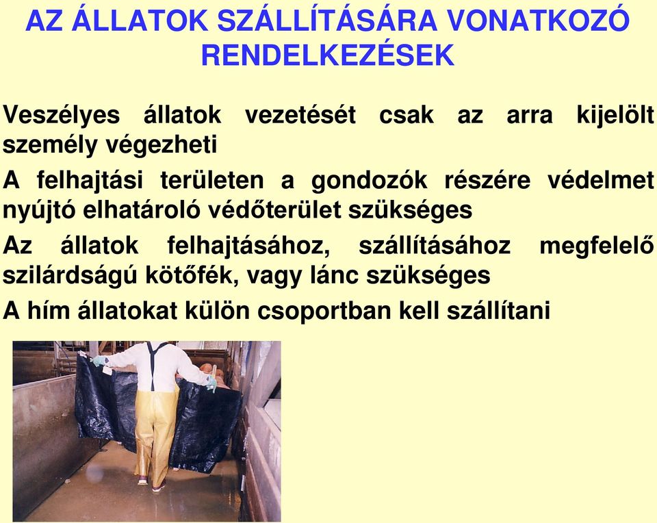 nyújtó elhatároló védőterület szükséges Az állatok felhajtásához, szállításához