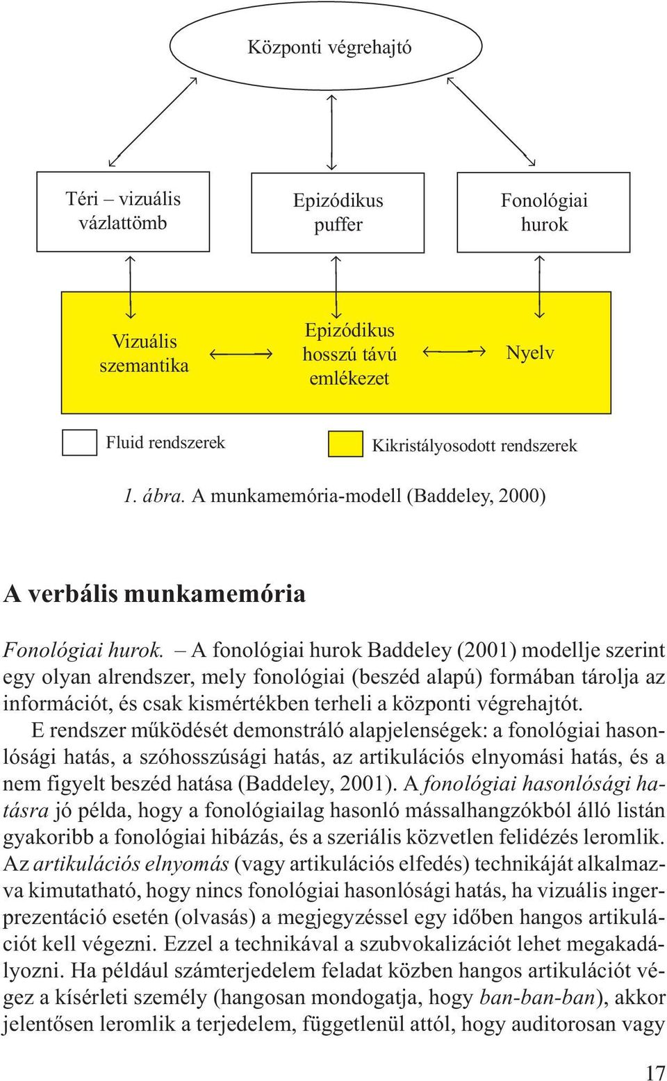 A fonológiai hurok Baddeley (2001) modellje szerint egy olyan alrendszer, mely fonológiai (beszéd alapú) formában tárolja az információt, és csak kismértékben terheli a központi végrehajtót.