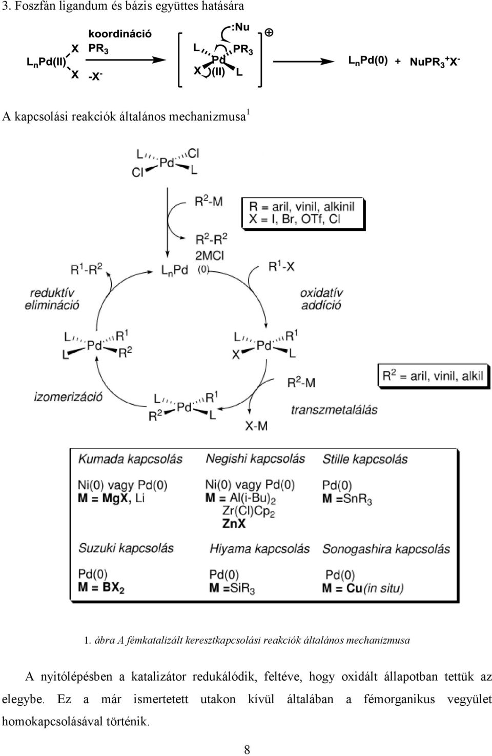 ábra A fémkatalizált keresztkapcsolási reakciók általános mechanizmusa A nyitólépésben a