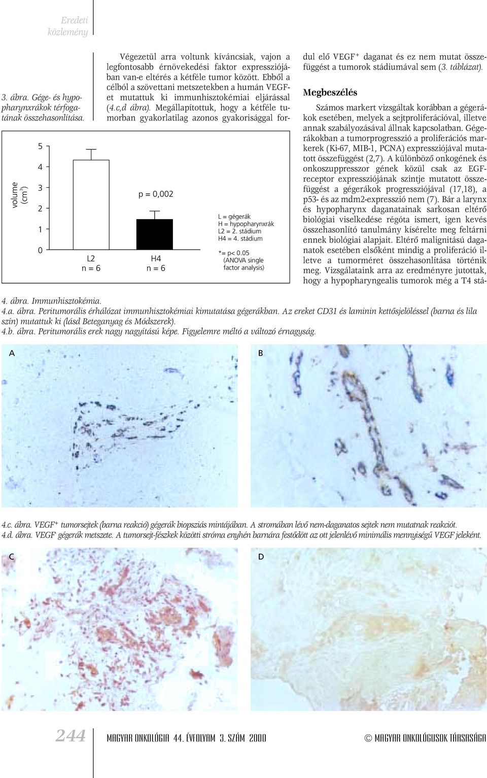 Ebbôl a célból a szövettani metszetekben a humán VEGFet mutattuk ki immunhisztokémiai eljárással (4.c,d ábra).