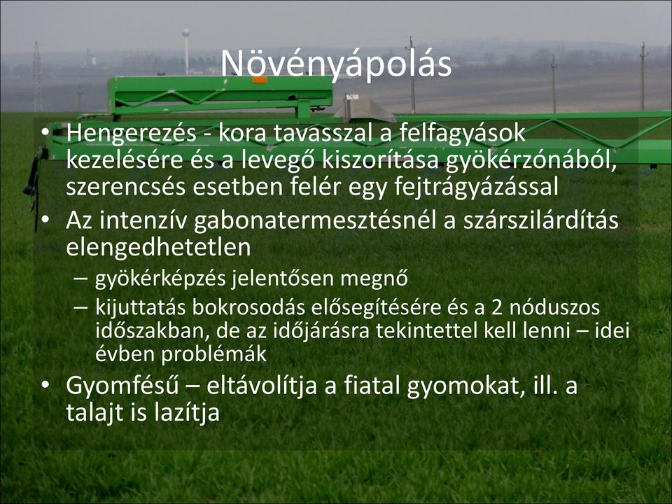 elengedhetetlen gyökérképzés jelentősen megnő kijuttatás bokrosodás elősegítésére és a 2 nóduszos