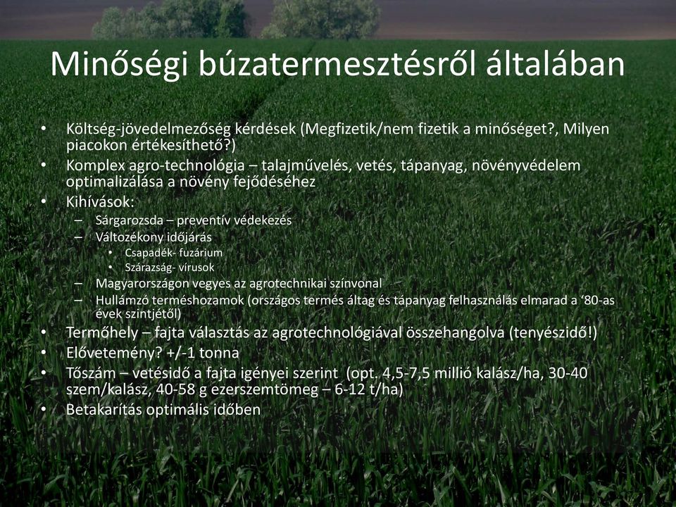 fuzárium Szárazság- vírusok Magyarországon vegyes az agrotechnikai színvonal Hullámzó terméshozamok (országos termés áltag és tápanyag felhasználás elmarad a 80-as évek szintjétől)