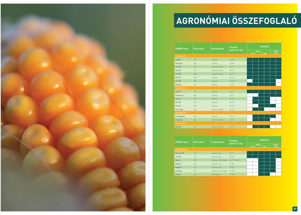 Koppány 42 szemes -7 Miranda 4 szemes, etanol -7 FAO -99 Mv szemes, etanol -7 Tőszám (ezer tő / ha) Vetésidő április május 1. fele 2. fele 1.