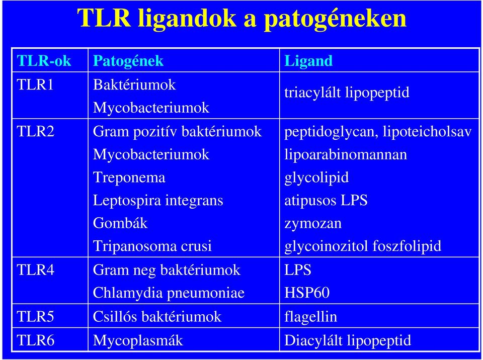 Chlamydia pneumoniae Csillós baktériumok Mycoplasmák Ligand triacylált lipopeptid peptidoglycan,