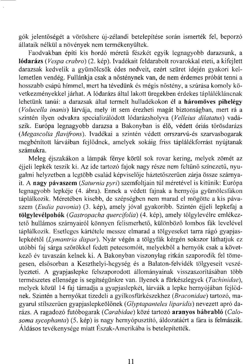 Ivadékait feldarabolt rovarokkal eteti, a kifejlett darazsak kedvelik a gyümölcsök édes nedveit, ezért szüret idején gyakori kellemetlen vendég.