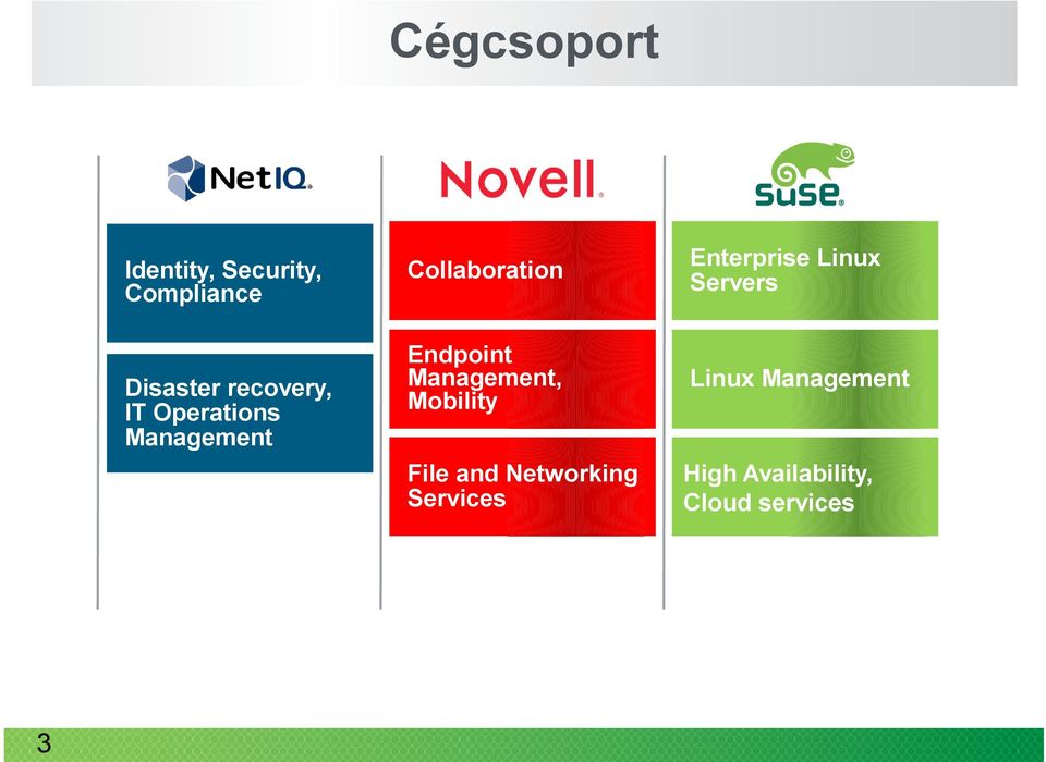 Enterprise Linux Servers Endpoint Management, Mobility