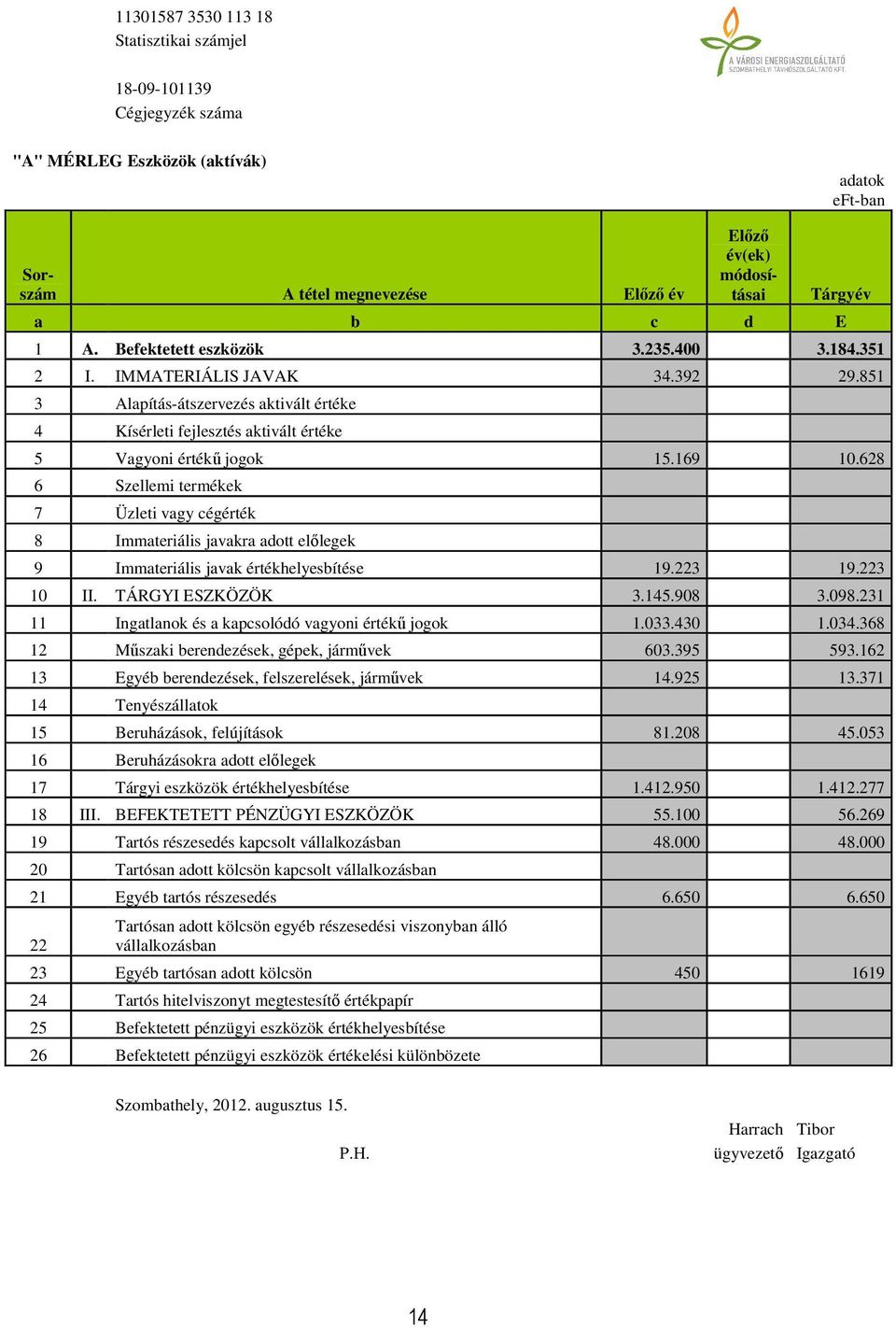 628 6 Szellemi termékek 7 Üzleti vagy cégérték 8 Immateriális javakra adott előlegek 9 Immateriális javak értékhelyesbítése 19.223 19.223 10 II. TÁRGYI ESZKÖZÖK 3.145.908 3.098.