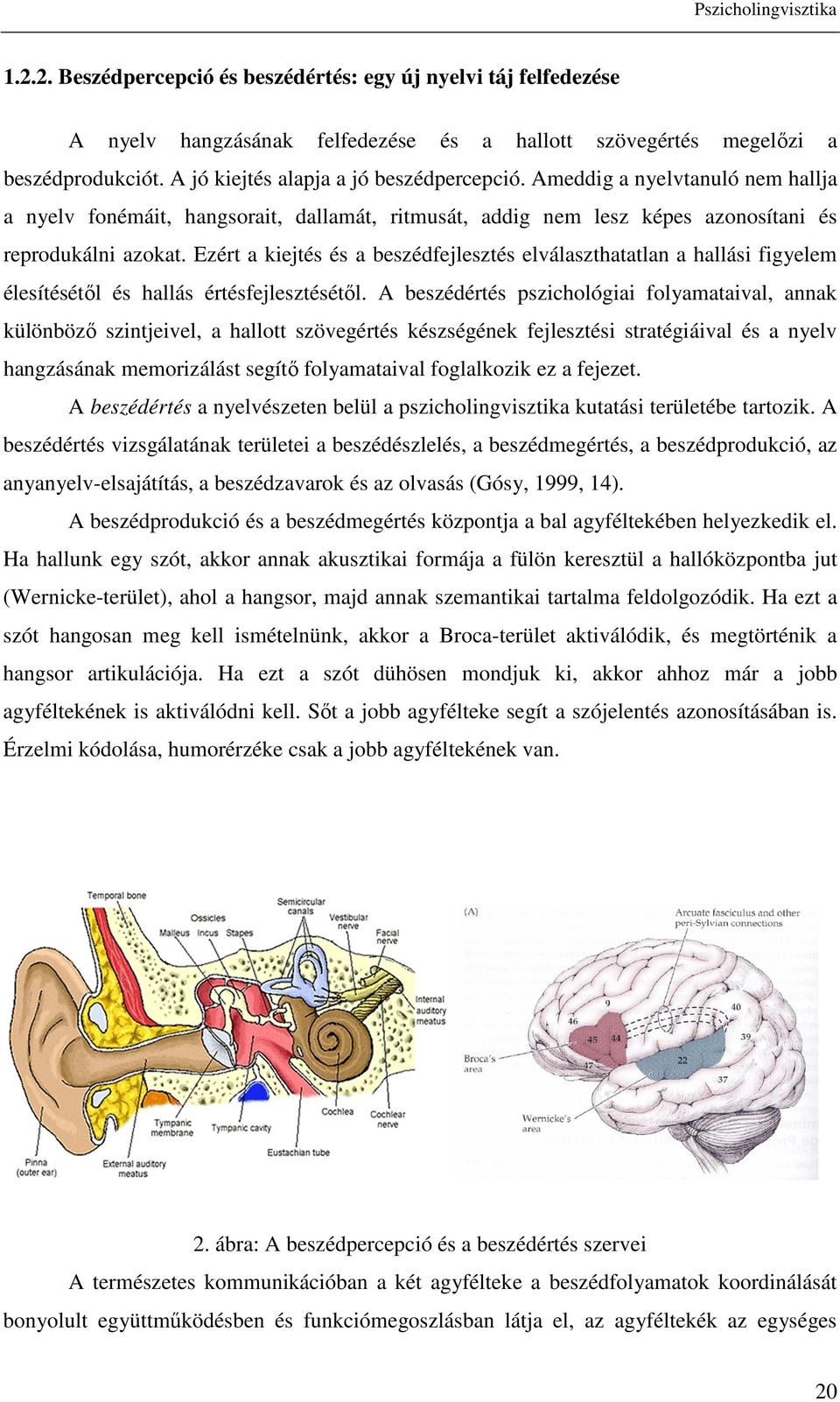 Ezért a kiejtés és a beszédfejlesztés elválaszthatatlan a hallási figyelem élesítésétől és hallás értésfejlesztésétől.