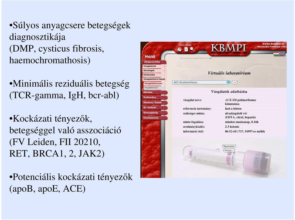 bcr-abl) Kockázati tényezık, betegséggel való asszociáció (FV Leiden,