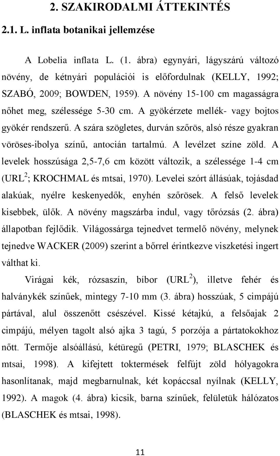 A gyökérzete mellék- vagy bojtos gyökér rendszerű. A szára szögletes, durván szőrös, alsó része gyakran vöröses-ibolya színű, antocián tartalmú. A levélzet színe zöld.