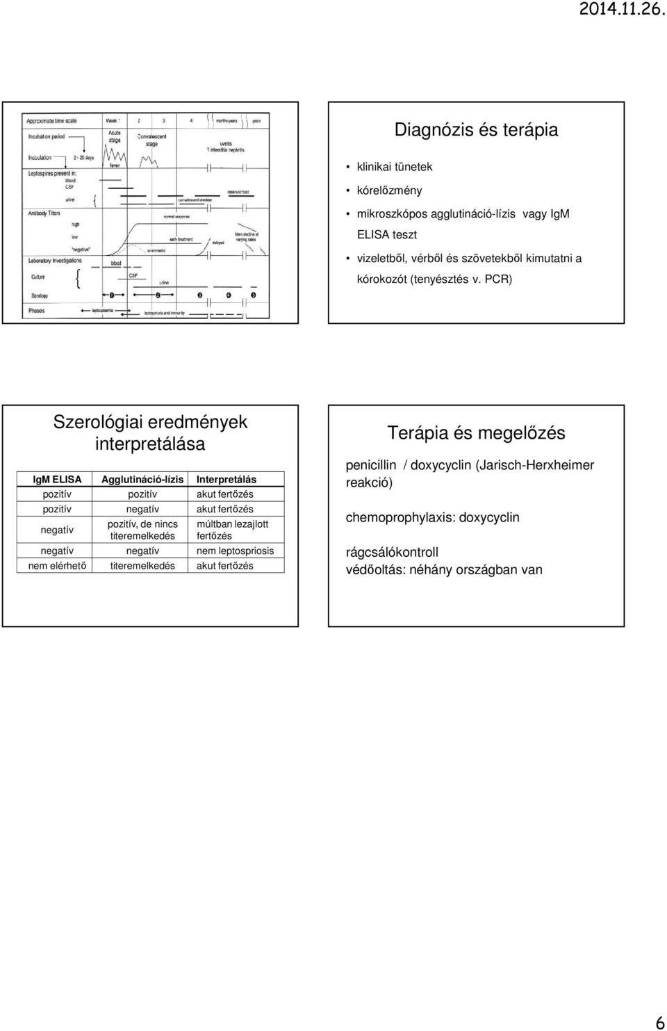 PCR) Szerológiai eredmények interpretálása IgM ELISA Agglutináció-lízis Interpretálás pozitív pozitív akut fertőzés pozitív negatív akut fertőzés negatív