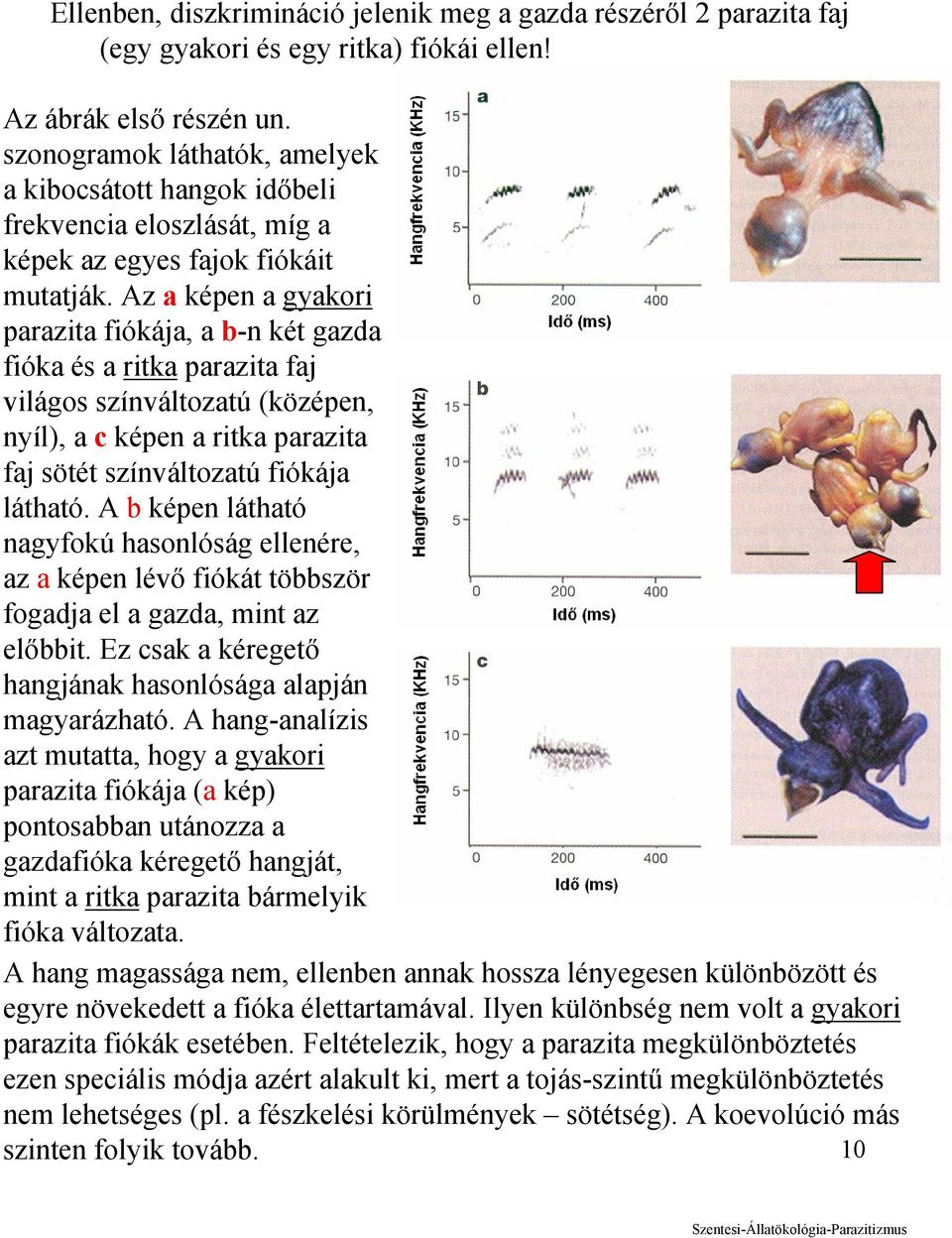 Az a képen a gyakori parazita fiókája, a b-n két gazda fióka és a ritka parazita faj világos színváltozatú (középen, nyíl), a c képen a ritka parazita faj sötét színváltozatú fiókája látható.