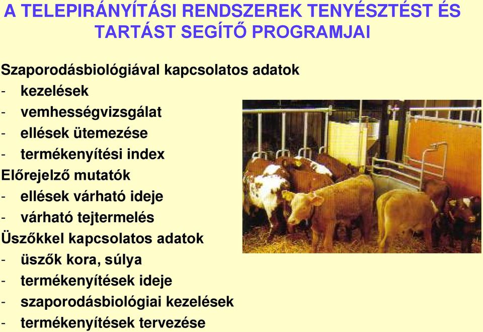 Előrejelző mutatók - ellések várható ideje - várható tejtermelés Üszőkkel kapcsolatos adatok -