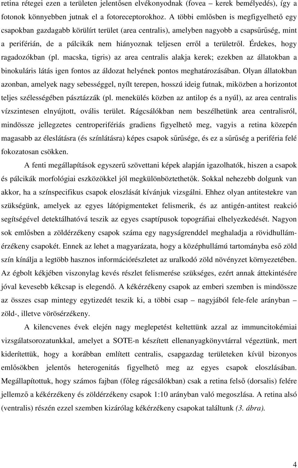 területről. Érdekes, hogy ragadozókban (pl. macska, tigris) az area centralis alakja kerek; ezekben az állatokban a binokuláris látás igen fontos az áldozat helyének pontos meghatározásában.