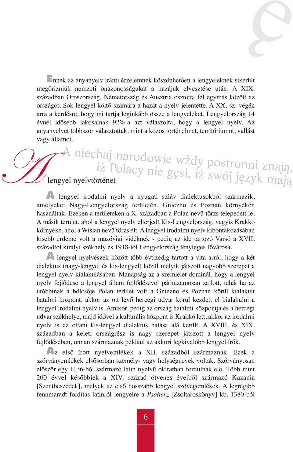 mára a hazát a nyelv jelentette. A XX. sz. végén arra a kérdésre, hogy mi tartja leginkább össze a lengyeleket, Lengyelország 14 évnél idősebb lakosainak 92%-a azt válaszolta, hogy a lengyel nyelv.