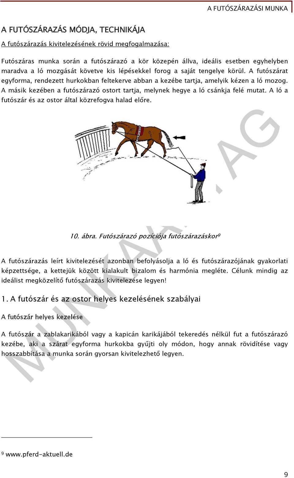 A másik kezében a futószárazó ostort tartja, melynek hegye a ló csánkja felé mutat. A ló a futószár és az ostor által közrefogva halad előre. 10. ábra.