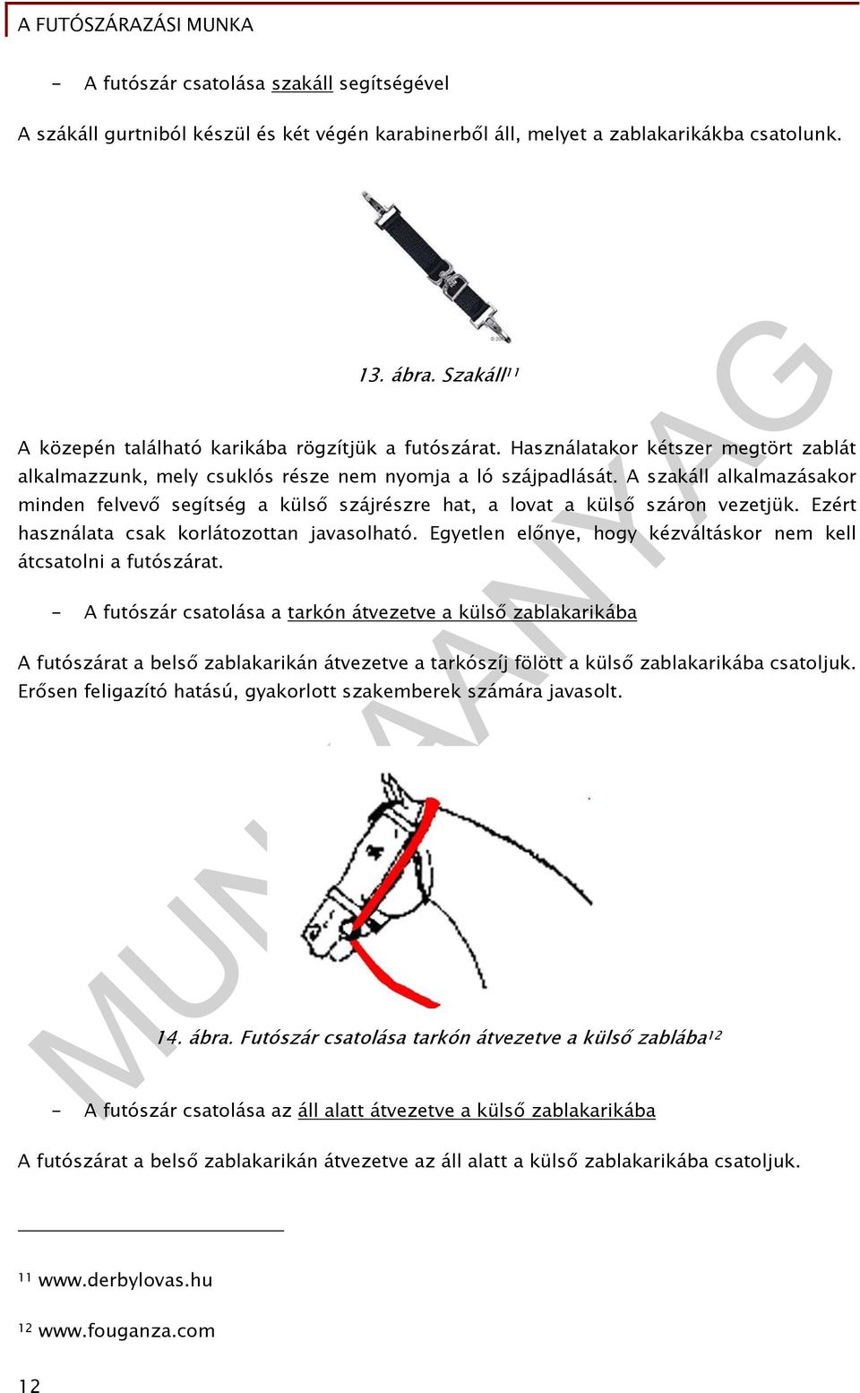 A szakáll alkalmazásakor minden felvevő segítség a külső szájrészre hat, a lovat a külső száron vezetjük. Ezért használata csak korlátozottan javasolható.